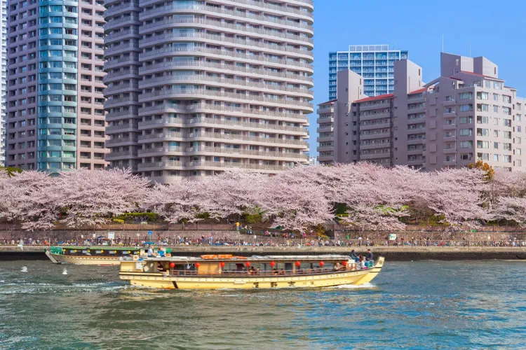 屋形船