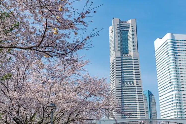 新港パーク