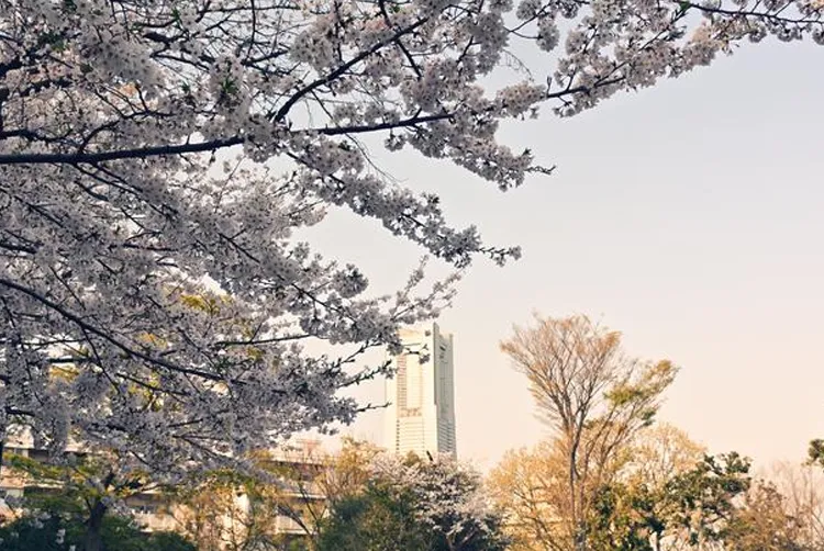 野毛山公園
