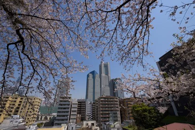 掃部山公園