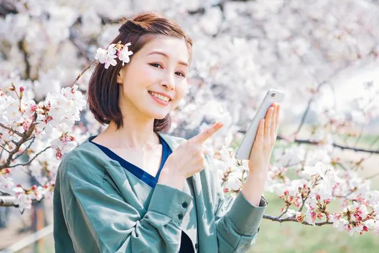 お花見